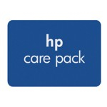 HP CPe - Carepack 4y Next Business Day Response Advanced Exchange Large Display Hardware Support