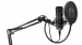endorfy-mikrofon-solum-sm900-streamovaci-nastavitelne-rameno-pop-up-filtr-usb-57258865.jpg